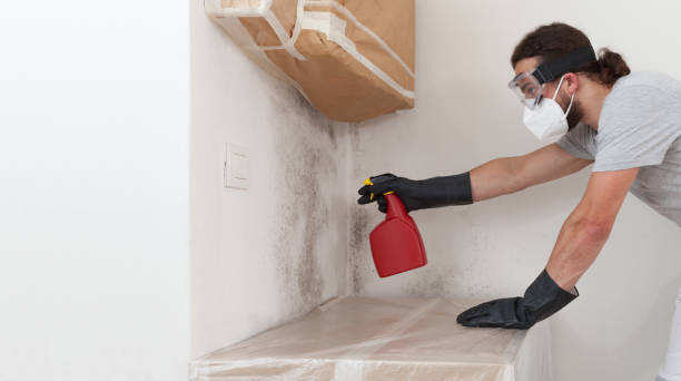 Professional Attic Mold Remediation technician working in Sharpsburg, NC